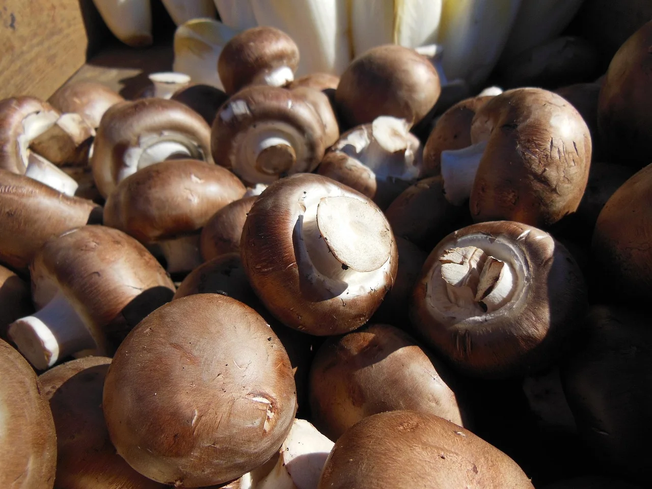 mushrooms, brown mushrooms, close-up, vegetables, vegetable market, fresh, tasty, shopping, brown shopping, brown vegetables, brown shop, br