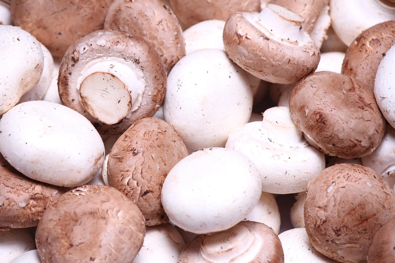 mushrooms, mushroom, cremini, cremini, cremini, cremini, cremini, cremini