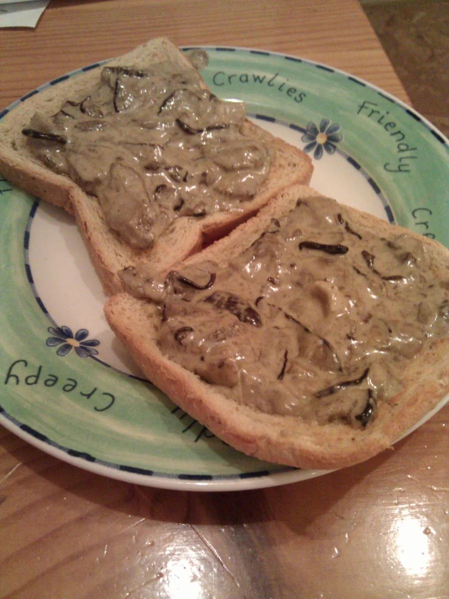 Selfpicked Porcino Mushroom In Creamy Sauce On Toast