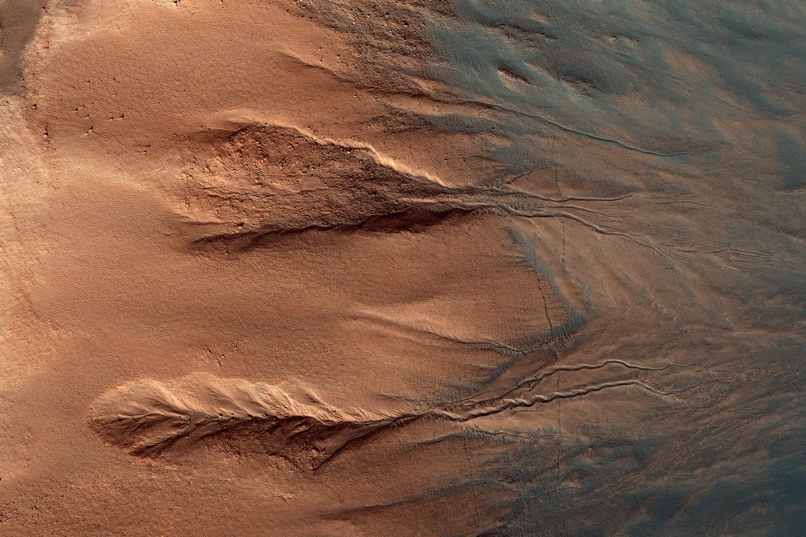 Gullies are relatively common features in the steep slopes of crater walls, possibly formed by dry debris flows, movement of carbon dioxide