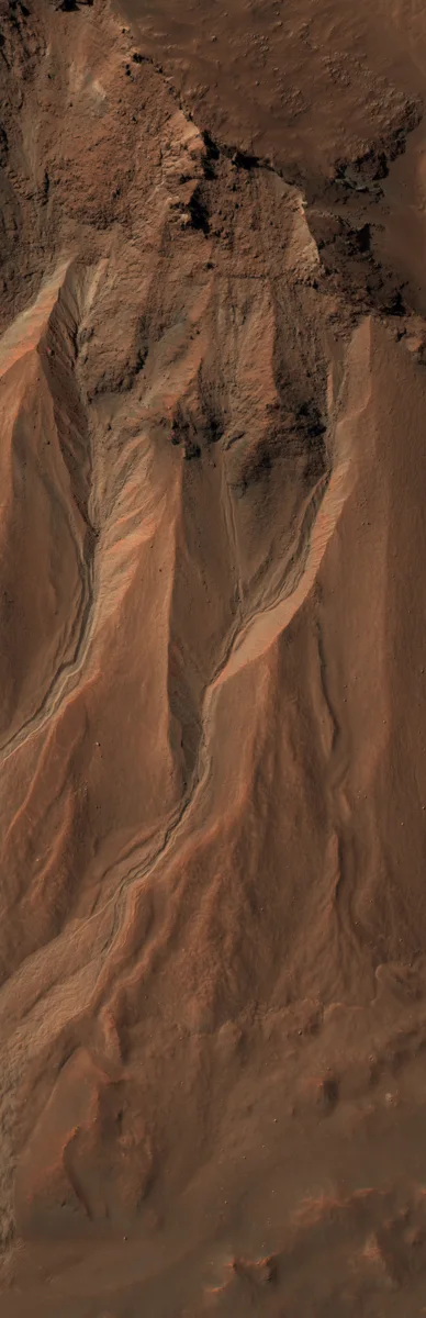 This image from the High Resolution Imaging Science Experiment (HiRISE) camera on NASA's Mars Reconnaissance Orbiter shows gullies near the
