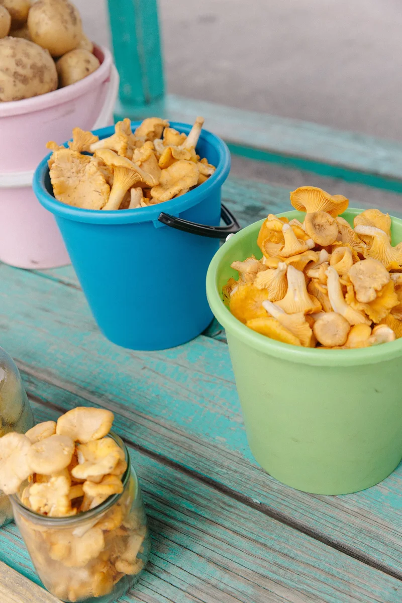 Mushroom picking traditions have been carried out in rural Belarussian communities for centuries