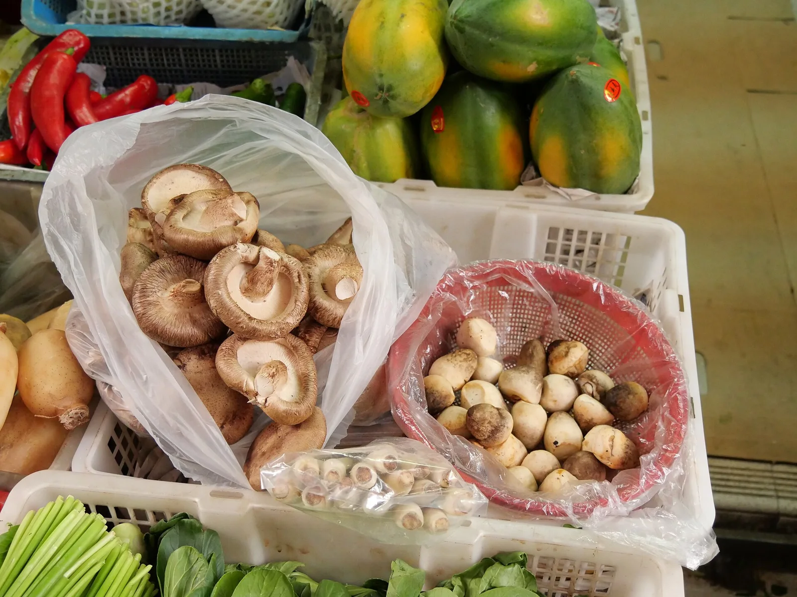 Fresh shiitake – Lentinula edodes (left) and straw mushroom (“Chinese mushroom”) – Volvariella volvacea (right – in the red container) in ma