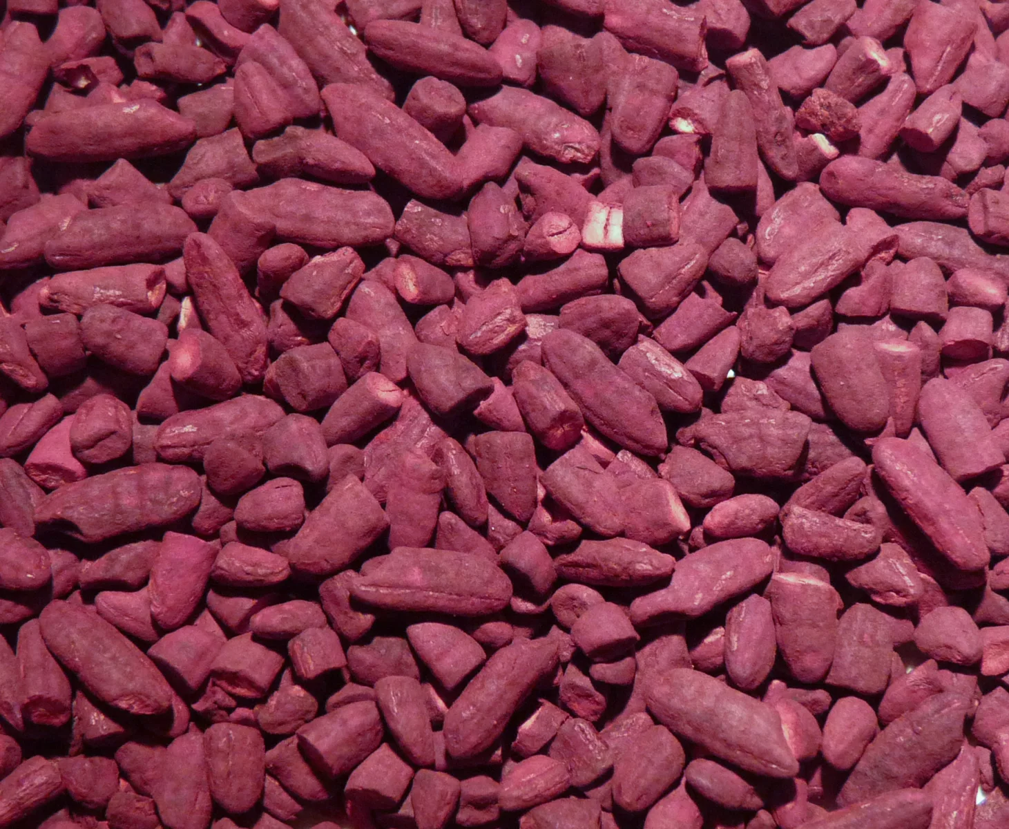 Red Yeast Rice (Hongqu) a dried culture of Monascus purpureus.