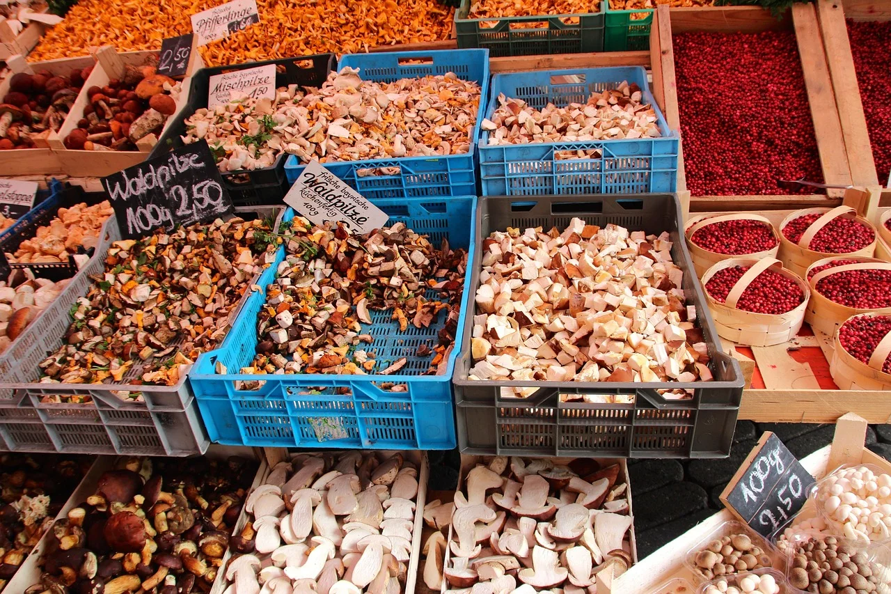 mushroom, forest, fall, mushrooms, nature, market, chestnut, edible mushroom, noble rot, mushrooms, edible mushroom, edible mushroom, edible