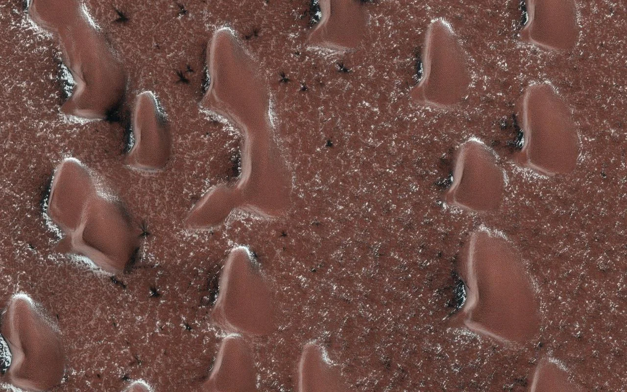 Spring Sprouts on Mars