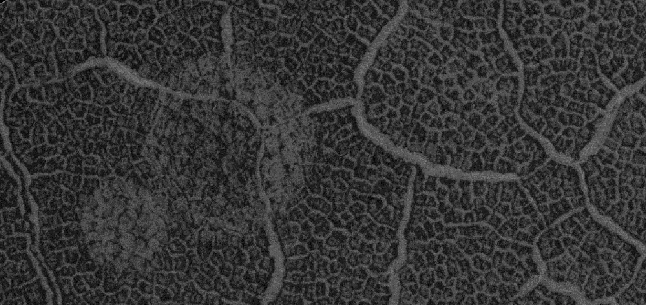 Close view of polygons with frost in troughs in the Mare Australe quadrangle, as seen by HiRISE under HiWish program