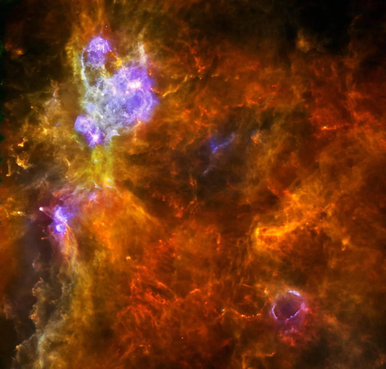 Churning Out Stars
