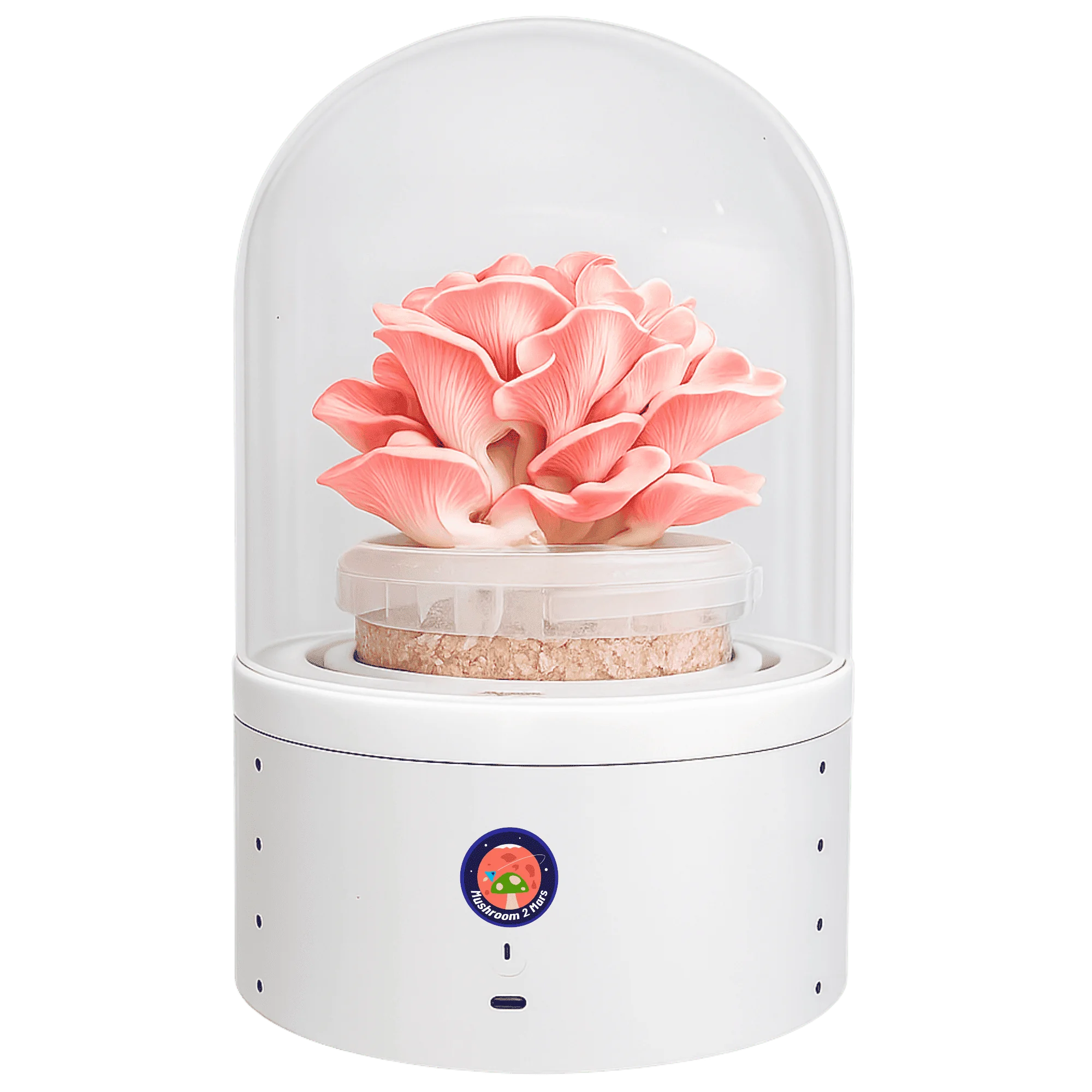 Igloo Earth home mushroom grower device