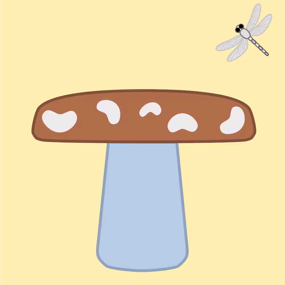 M2M Mushrooms Collection artwork 2